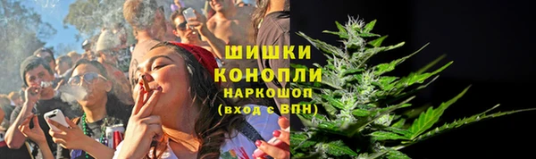 соль ск Сосновка
