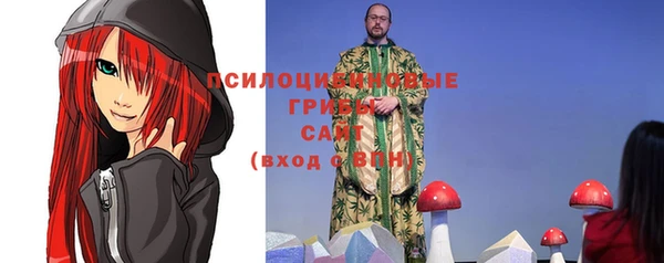 соль ск Сосновка